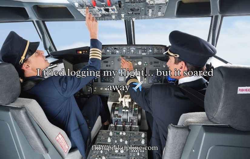 Pilot Puns