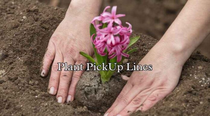 Plant PickUp Lines Plant PickUp Lines