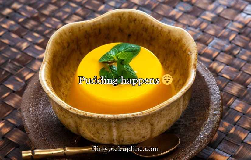 Pudding Puns and Jokes