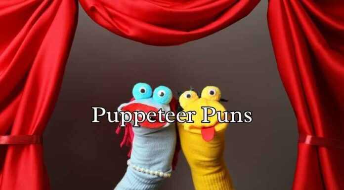 Puppeteer Puns Puppeteer Puns