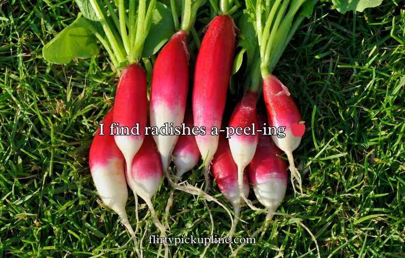 Radish Puns