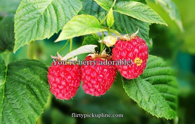 Raspberry Puns