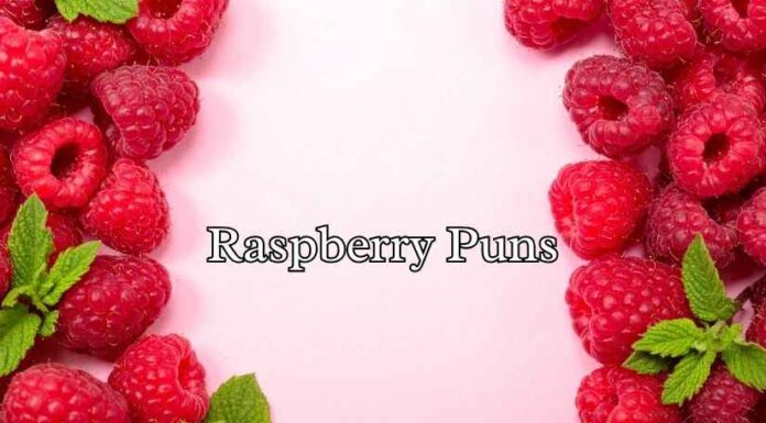 Raspberry Puns Raspberry Puns