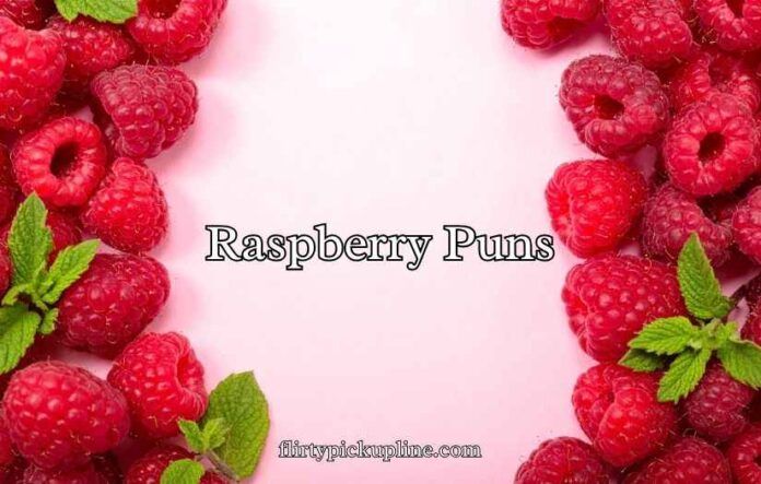 Raspberry Puns Raspberry Puns