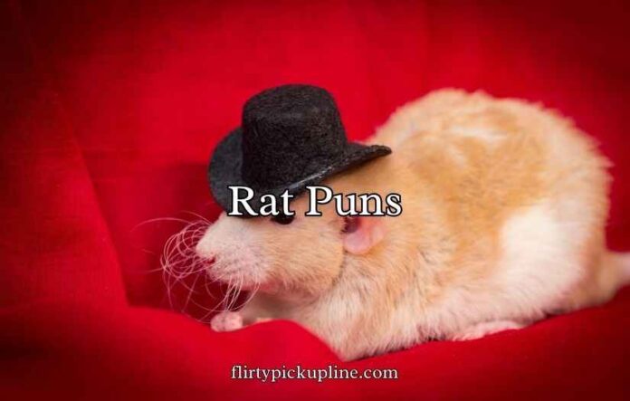 Rat Puns Rat Puns