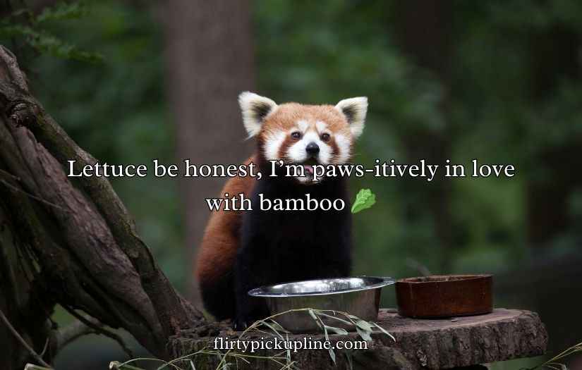Red Panda Puns