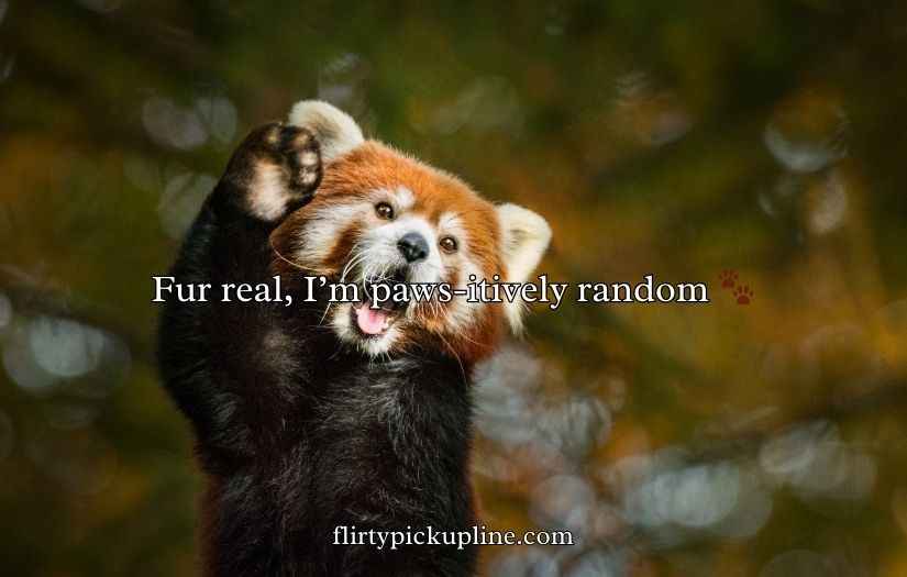 Red Panda Puns