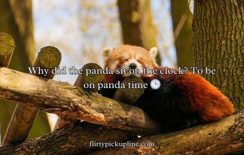 Red Panda Puns