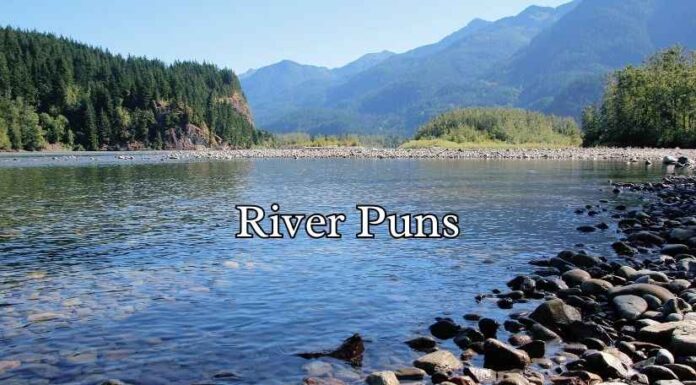 River Puns River Puns
