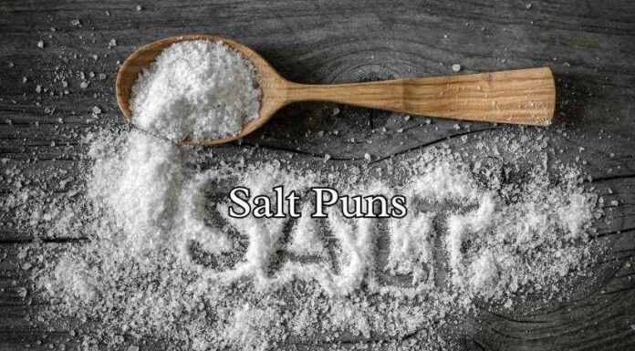 Salt Puns Salt Puns