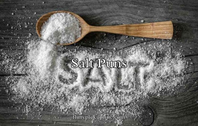 Salt Puns Salt Puns