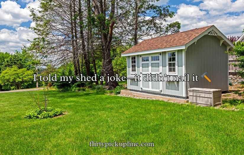 Shed Jokes & Puns