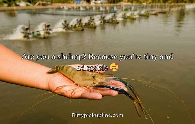 Shrimp Pickup Lines