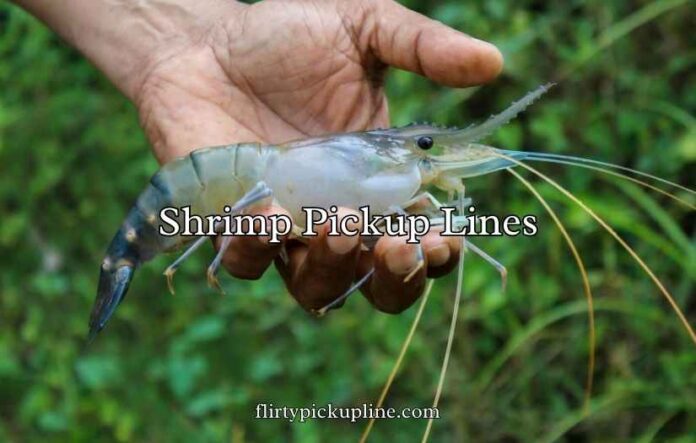 Shrimp Pickup Lines