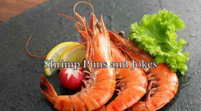 Shrimp Puns and Jokes Shrimp Puns and Jokes