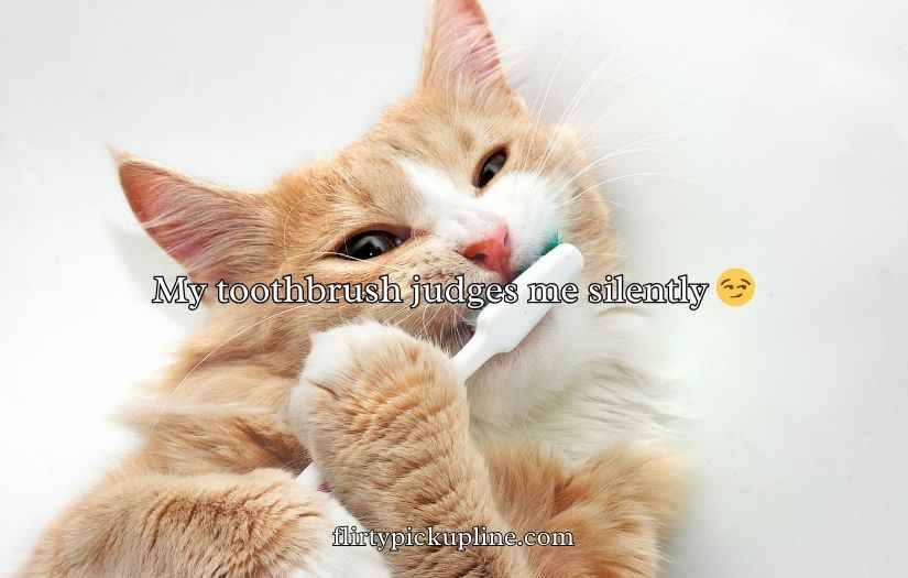 Toothbrush Puns and Jokes