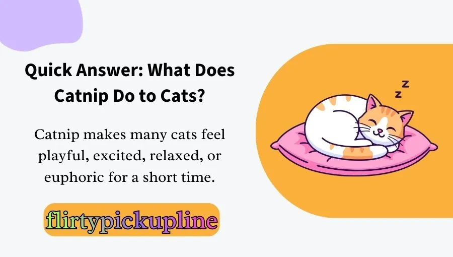 What Does Catnip Do To Cats