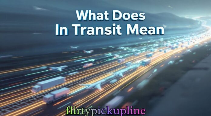 What Does In Transit Mean What Does In Transit Mean