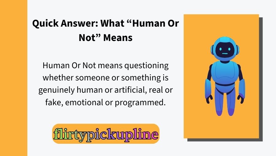 Human Or Not