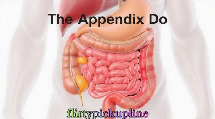 The Appendix Do The Appendix Do