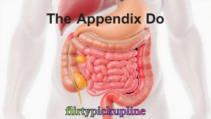 The Appendix Do