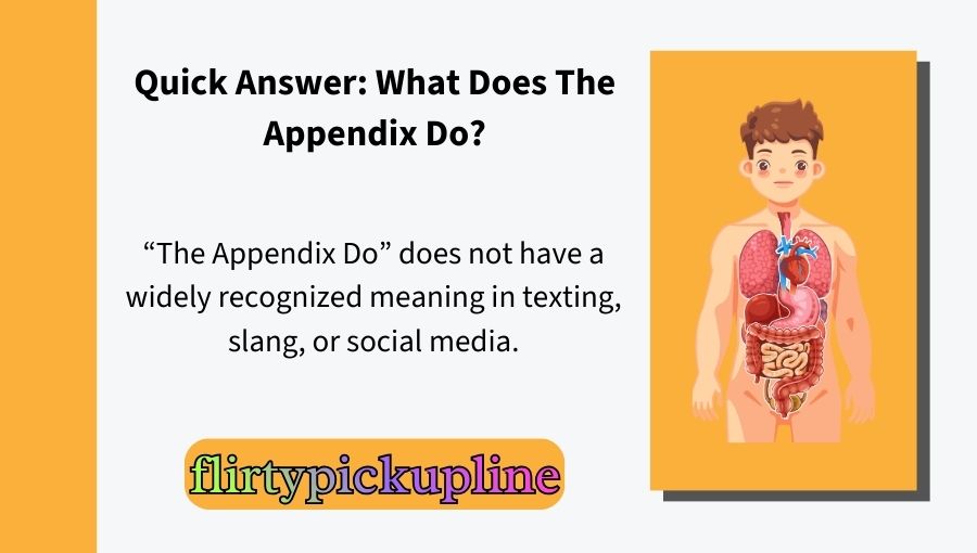 The Appendix Do