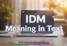 IDM Meaning in Text IDM Meaning in Text