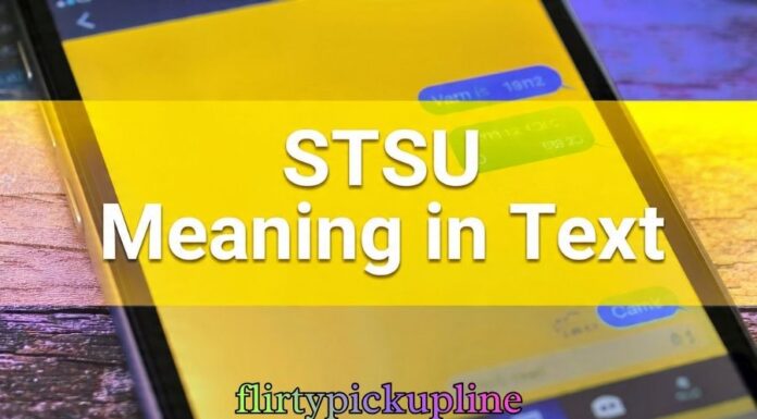 STSU Meaning in Text STSU Meaning in Text