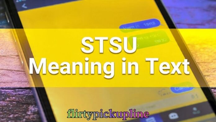 STSU Meaning in Text