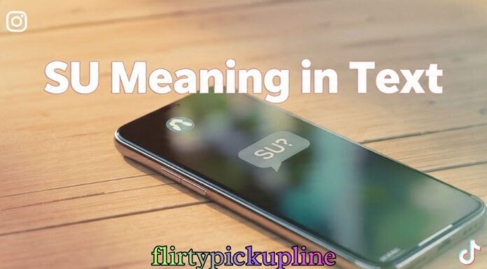 SU Meaning in Text SU Meaning in Text