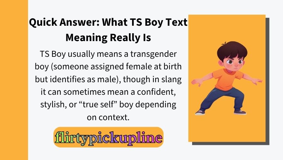 TS Boy Text Meaning