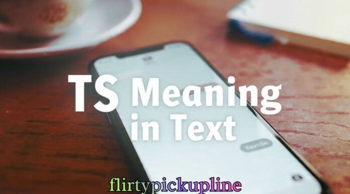 TS Meaning in Text TS Meaning in Text