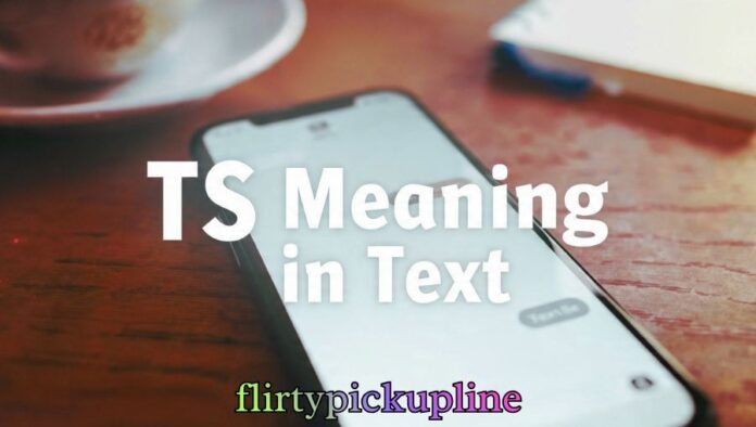 TS Meaning in Text