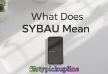 What Does SYBAU Mean What Does SYBAU Mean