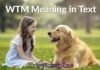 WTM Meaning in Text WTM Meaning in Text