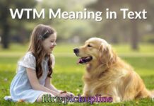 WTM Meaning in Text WTM Meaning in Text