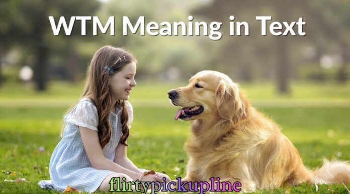 WTM Meaning in Text WTM Meaning in Text