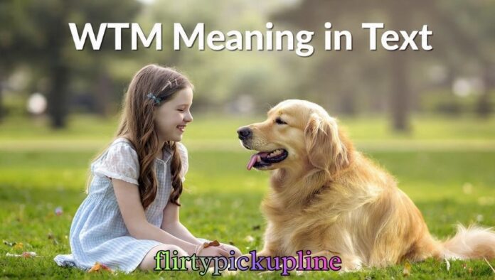 WTM Meaning in Text