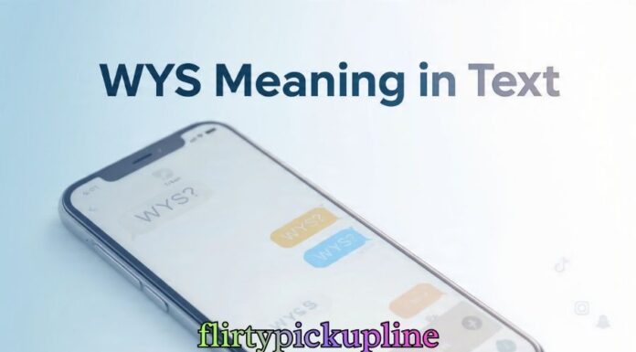 WYS Meaning in Text WYS Meaning in Text