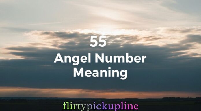 55 Angel Number Meaning 55 Angel Number Meaning