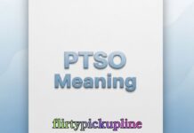 PTSO Meaning PTSO Meaning