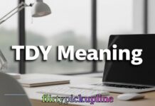 TDY Meaning TDY Meaning