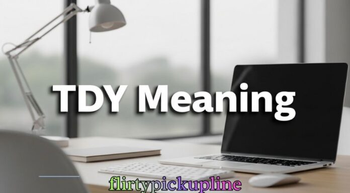 TDY Meaning TDY Meaning