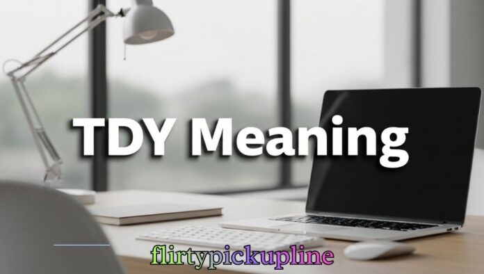 TDY Meaning TDY Meaning