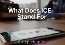 What Does ICE Stand For What Does ICE Stand For
