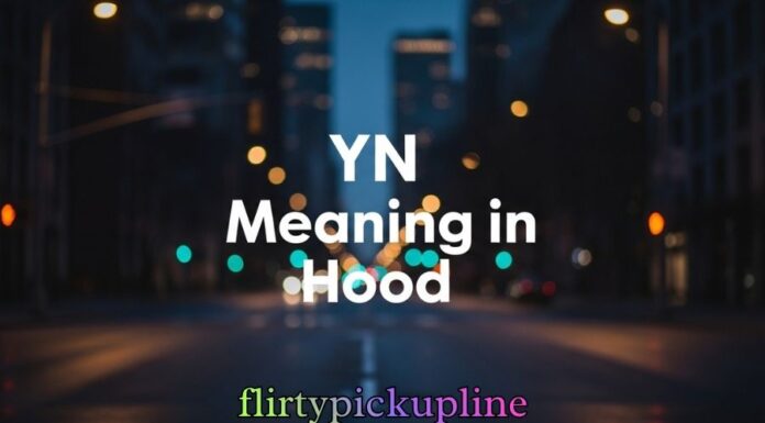 YN Meaning in Hood YN Meaning in Hood