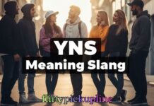 YNS Meaning Slang YNS Meaning Slang