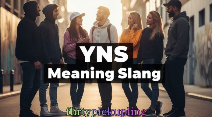 YNS Meaning Slang YNS Meaning Slang