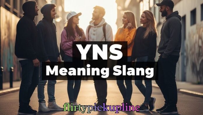 YNS Meaning Slang
