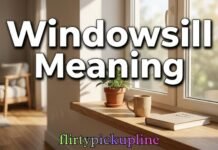 Windowsill Meaning Windowsill Meaning